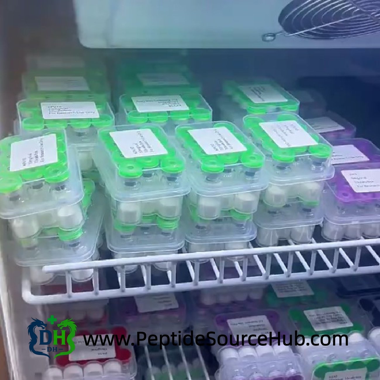 ACE-031 peptide kits in temperature-controlled storage — wholesale supply