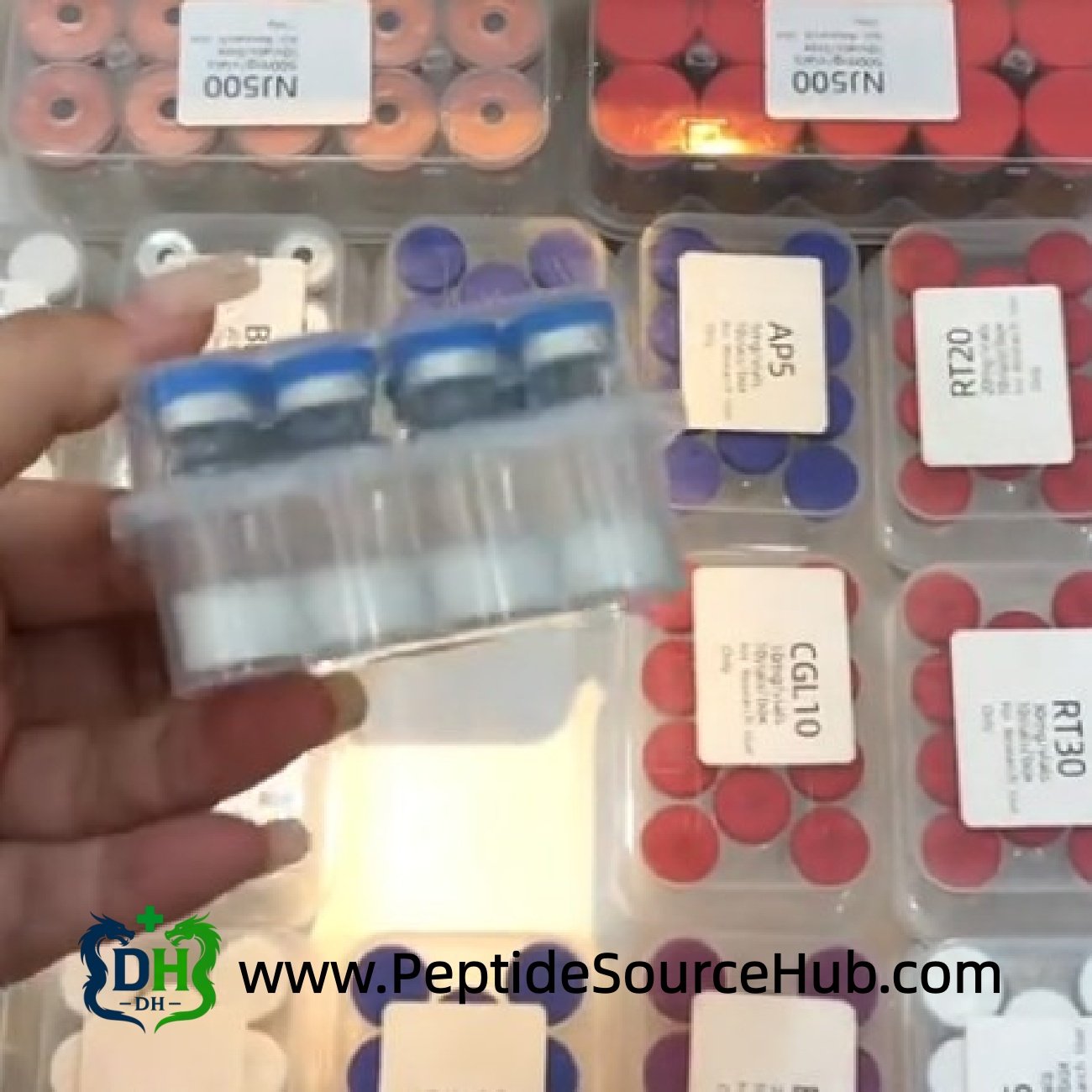 Tray kit with labeled inventory background for wholesale supplier, factory-direct stock