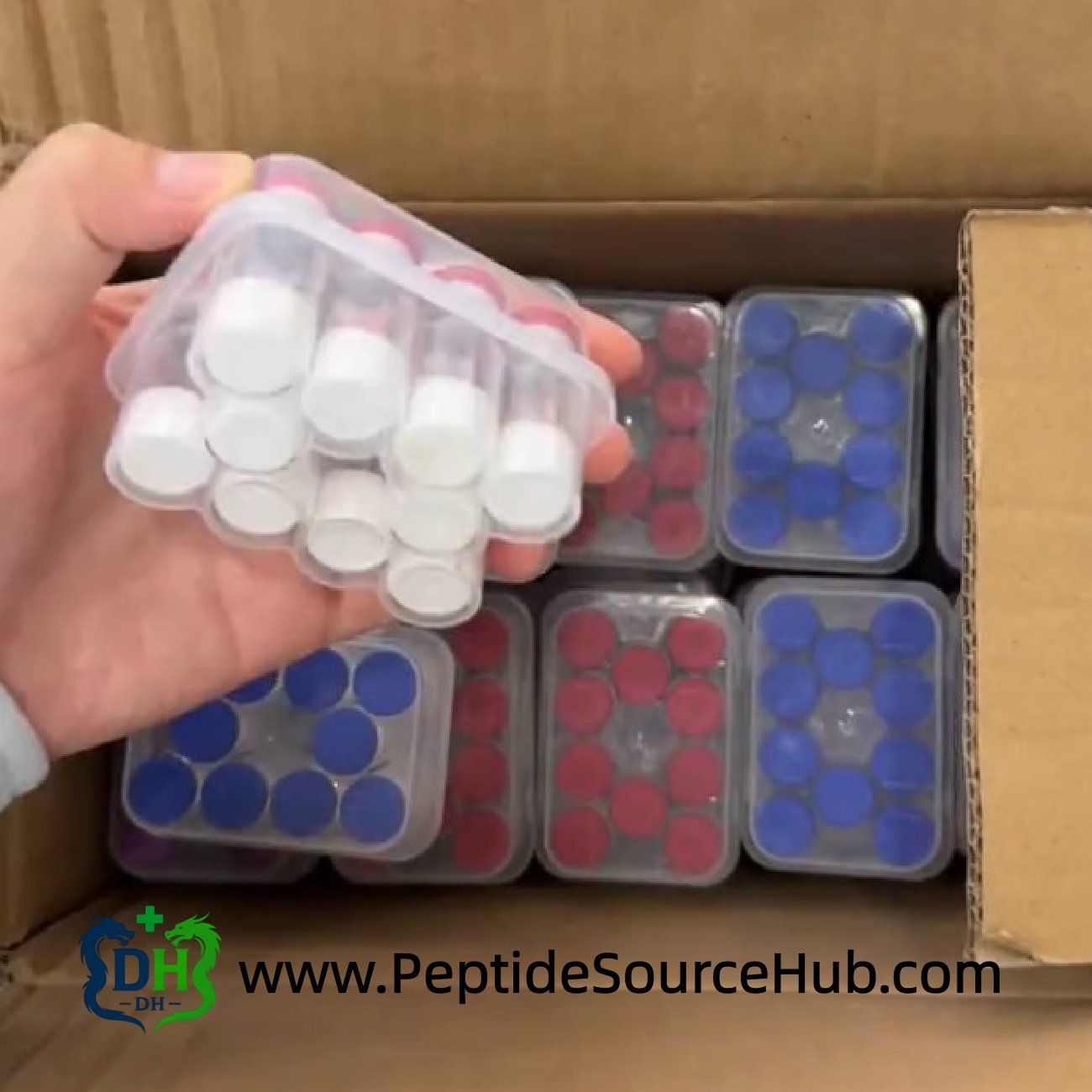 Follistatin-344 peptide vials packed in plastic tray inside carton