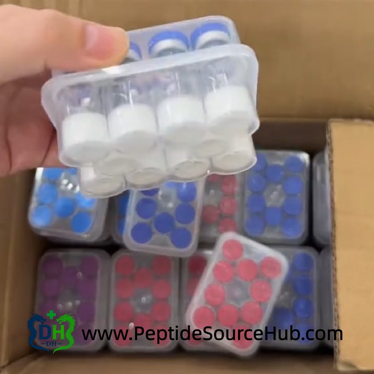 Hand holding Follistatin-344 peptide tray over mixed color vial caps