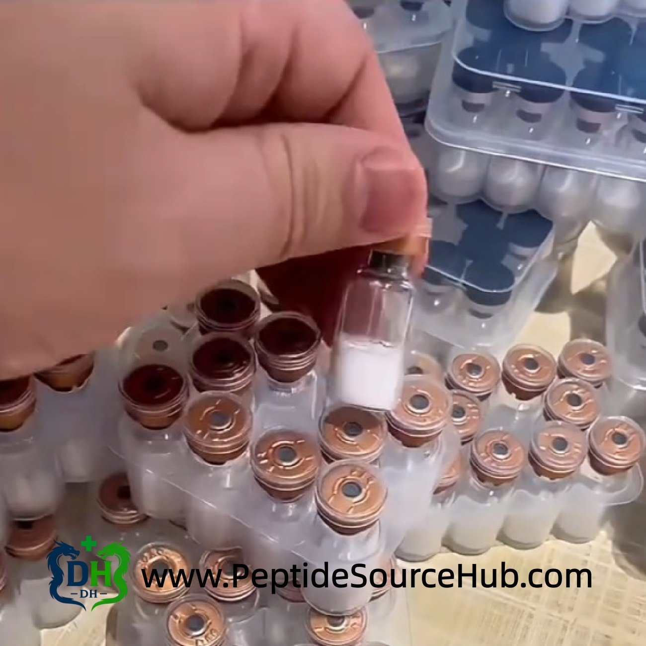 Hand holding HGH Fragment 176-191 copper cap vial