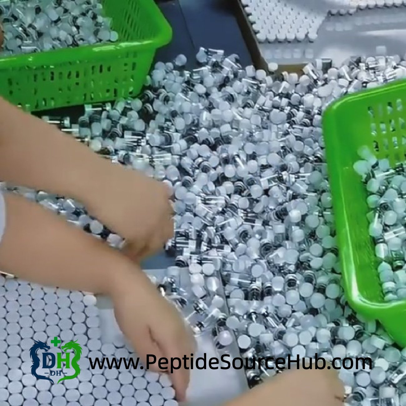 Workers sorting bulk white cap Melatonin vials in factory
