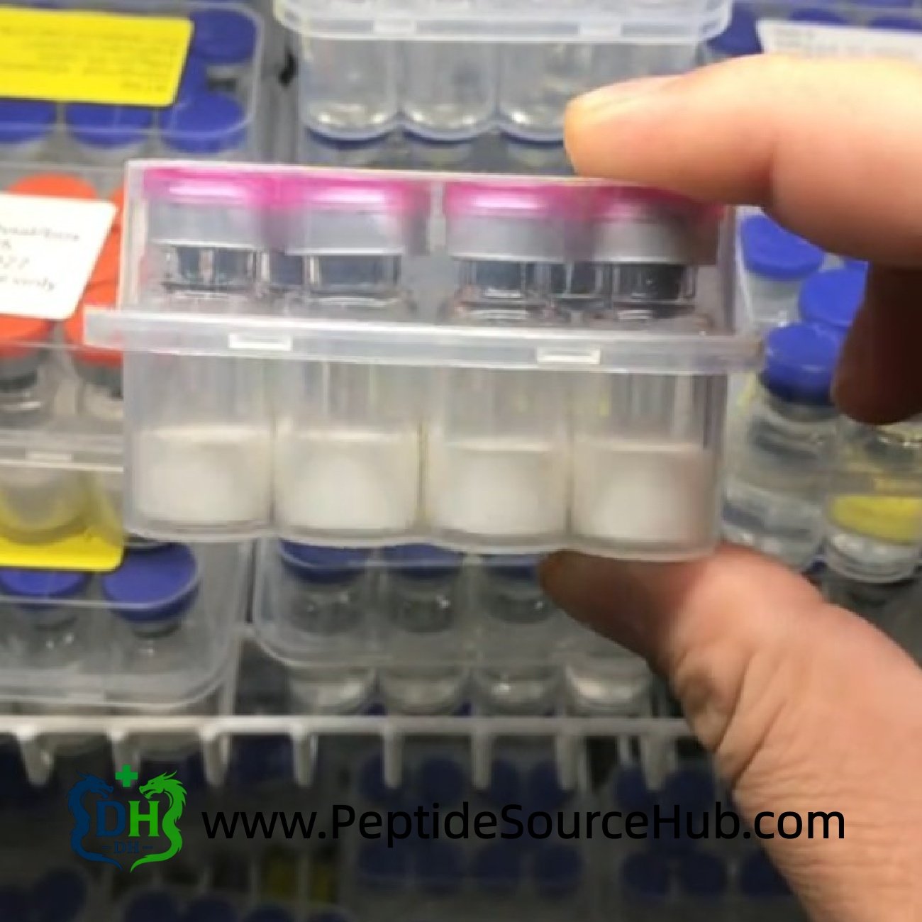 Pink-cap MOTS-C peptide tray stored in laboratory fridge