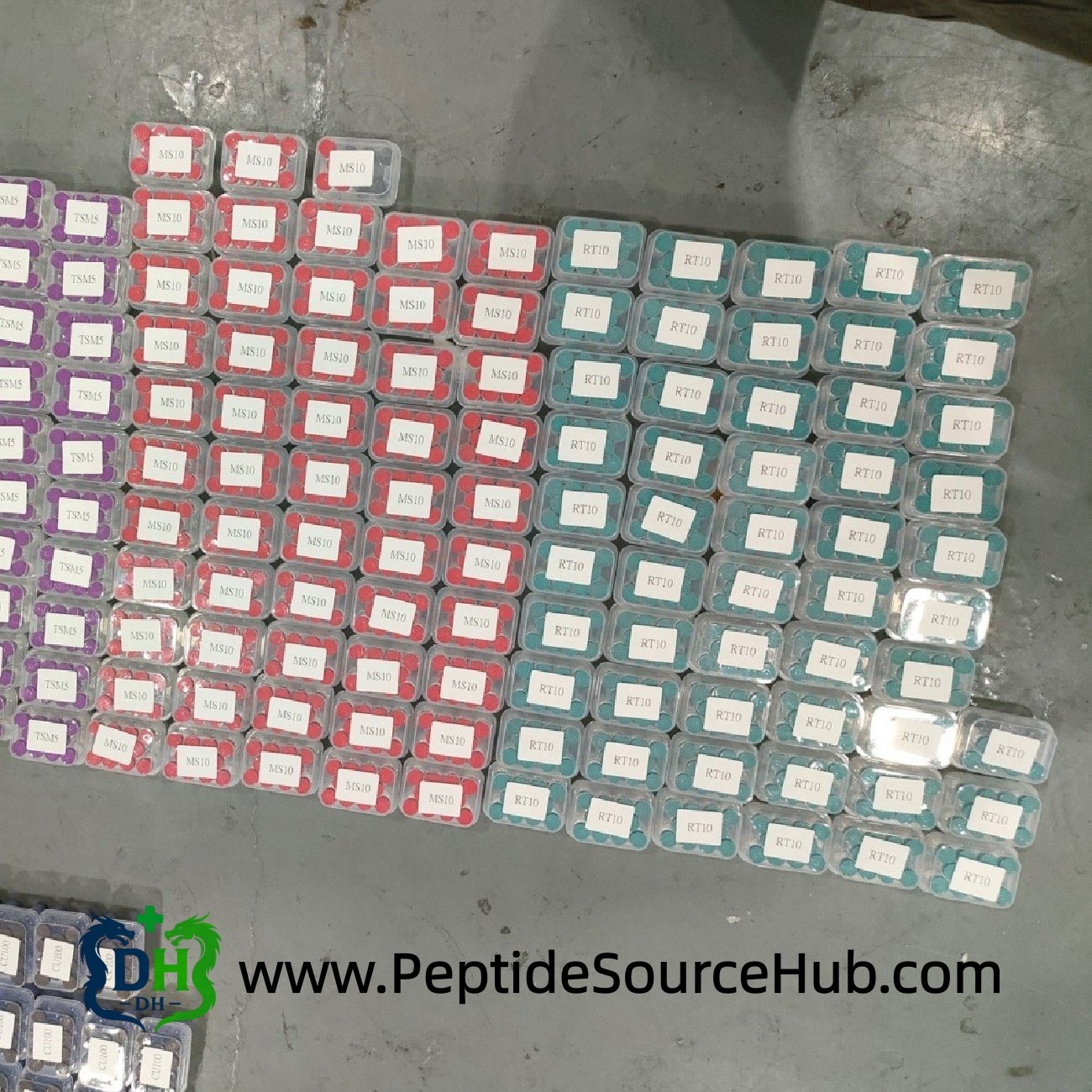 Large layout of MOTS-C MS10 and RT10 peptide trays on floor