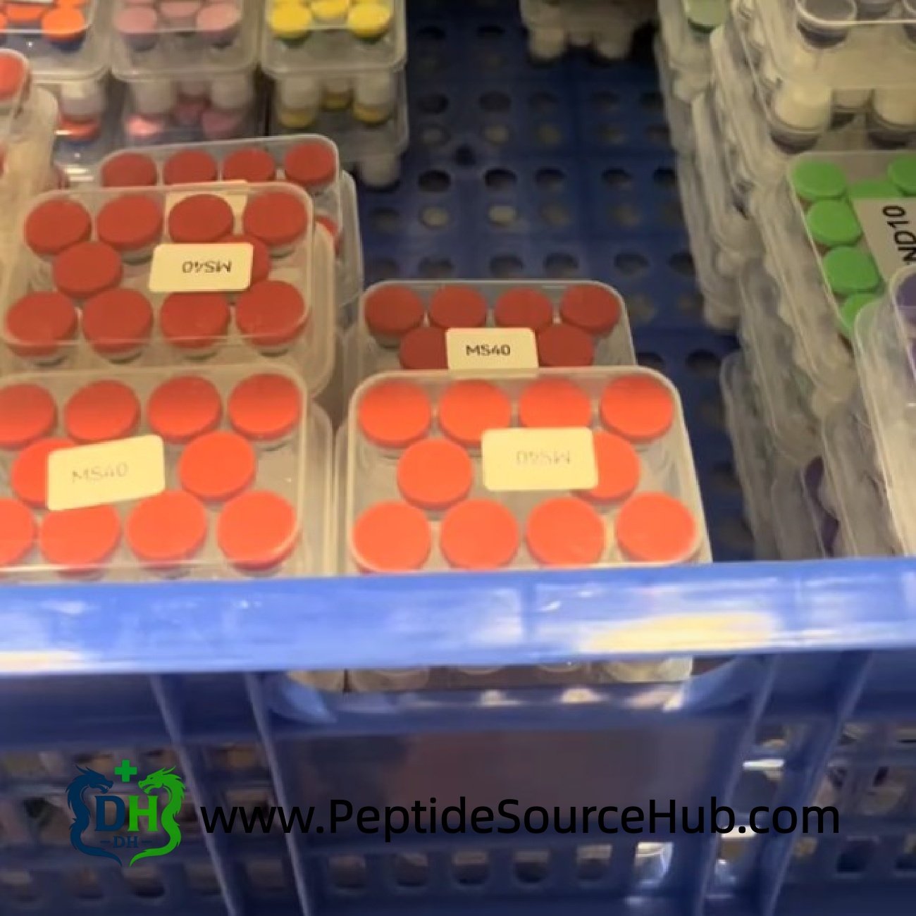 Blue crate filled with MOTS-C MS40 peptide trays