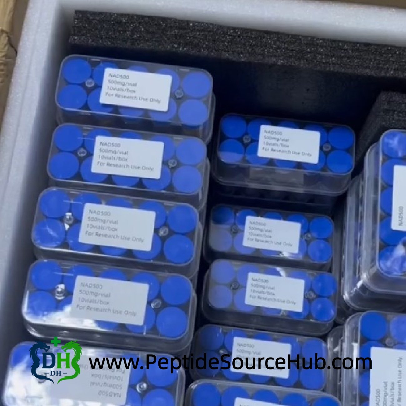 Insulated box with NAD+ 500 blue-cap vial trays