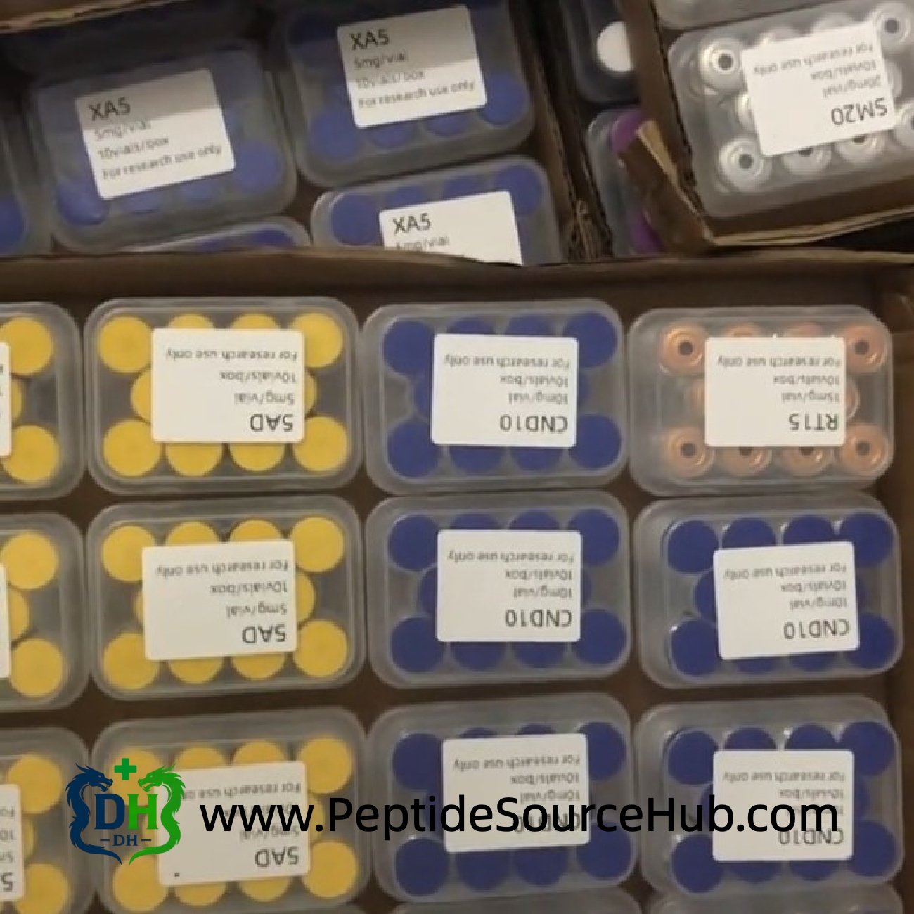 Carton filled with multiple layers of peptide kits