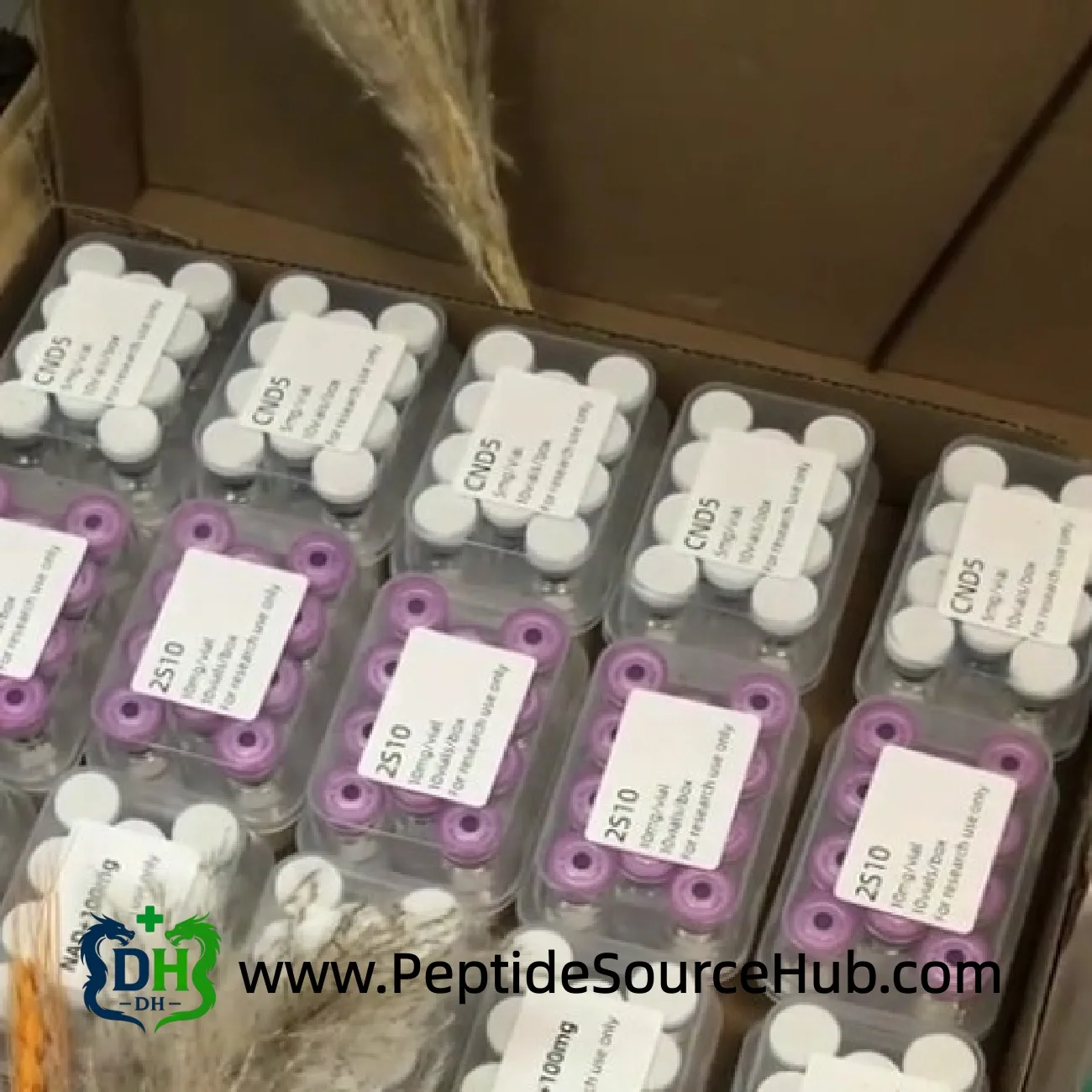 SS-31 peptide stock area with purple-cap and white-cap peptide trays
