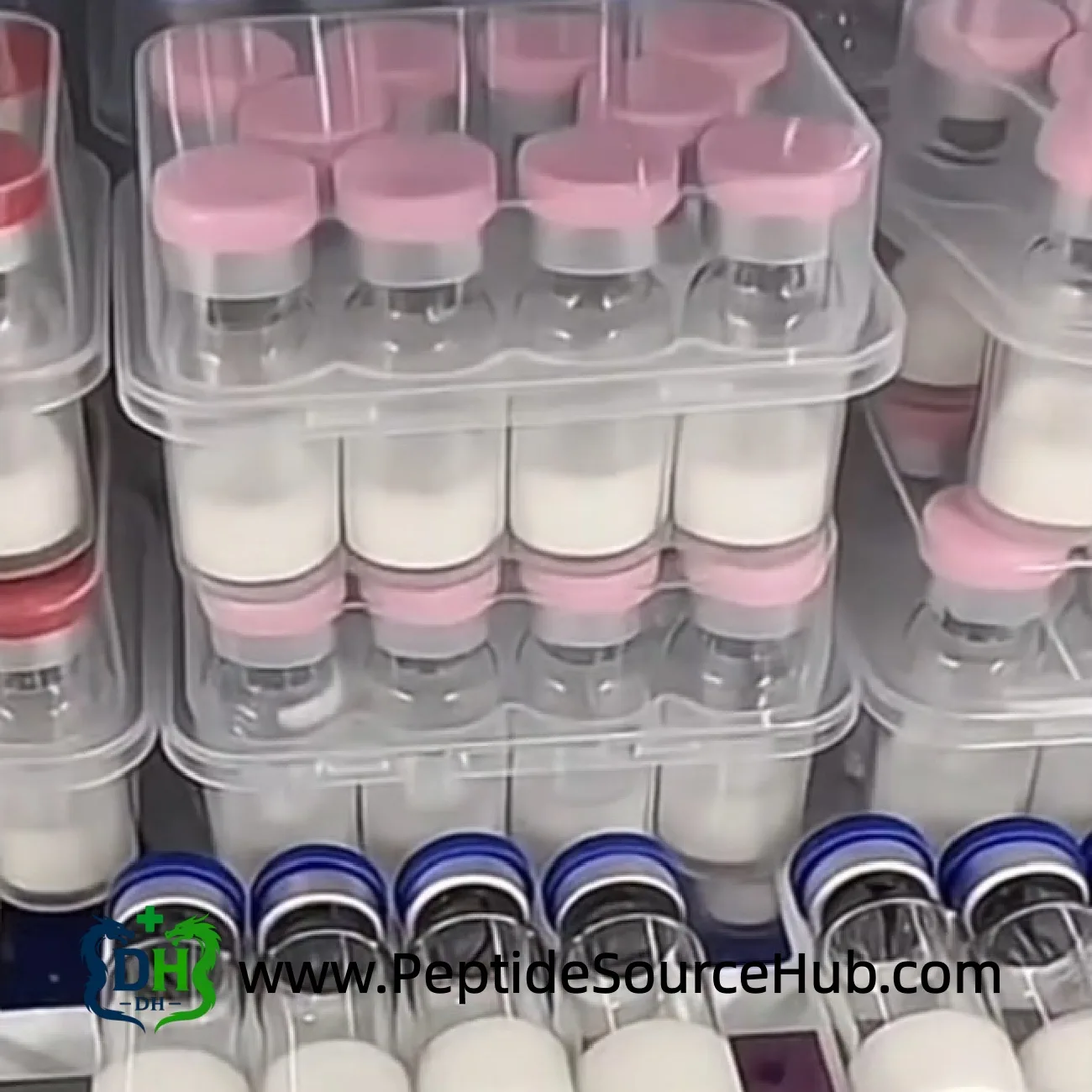 SS-31 peptide style vials with pink caps in plastic trays