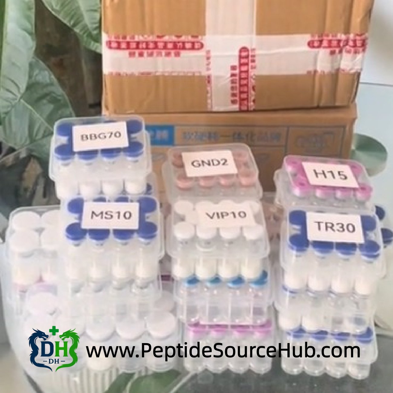 Assorted peptide kits including VIP10 pack on table