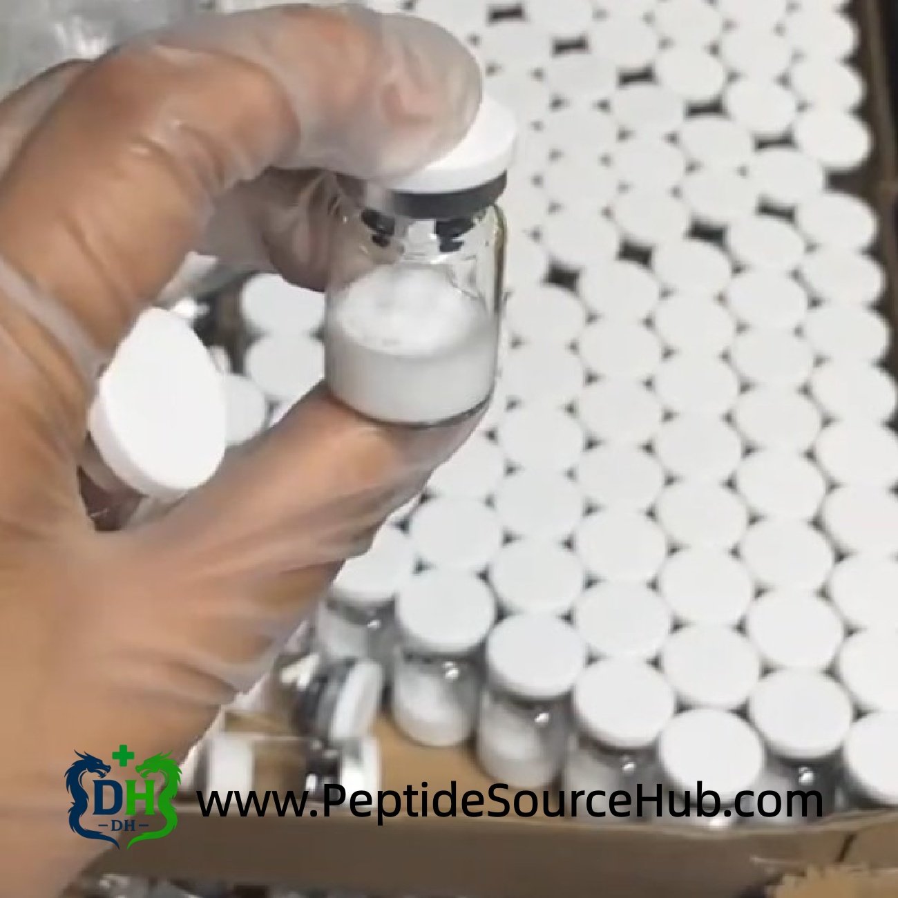 Gloved hand inspecting VIP peptide 10 mg vial